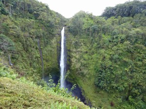 After we finished at the crater and Volcanoes National Park, we went to see Akaka Falls. (Another short hike.)